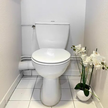 Perfect In Louvre Area * Paris