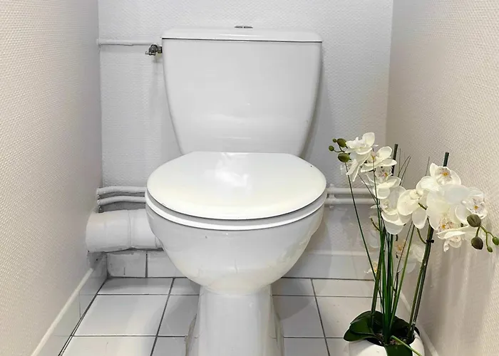 Perfect In Louvre Area * Paris